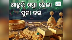 Gold Rate: ସୁନା ଦରରେ ବୃହତ ହ୍ରାସ, ଜାଣନ୍ତୁ ଭୁବନେଶ୍ୱରରେ କେତେ ରହିଛି ଭରି ପିଛା ମୂଲ୍ୟ