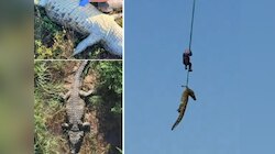 'आदमखोर' मगरमच्छ का ड्रोन से पीछा, हेलीकॉप्टर से एयरलिफ्ट... पेट से निकले इंसान...