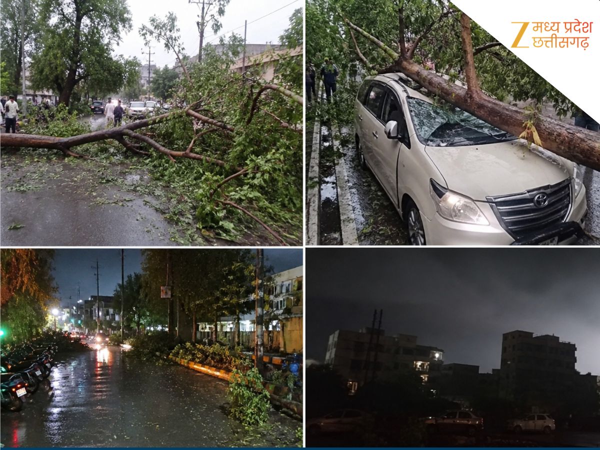Storm and Rain Wreak Havoc in Bilaspur Trees Litter Roads Power Outage ...