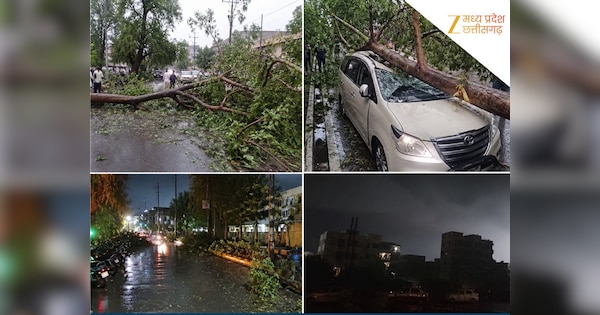 Storm and Rain Wreak Havoc in Bilaspur Trees Litter Roads Power Outage ...