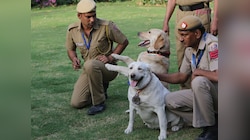 दिल्ली में हाई अलर्ट... पंजाब IED ब्लास्ट के बाद आतंकी हमले का इनपुट! चेकिंग शुरू
