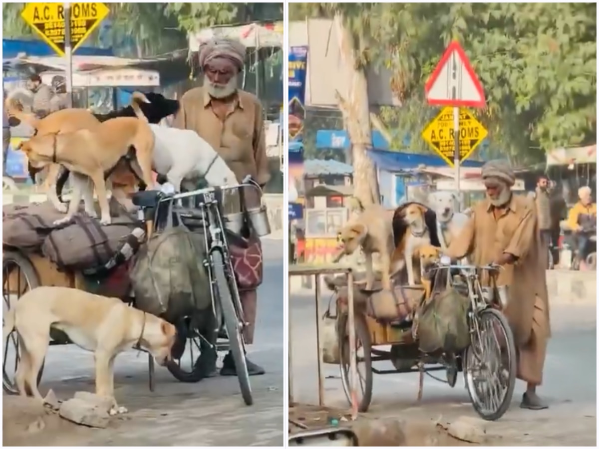 elderly rickshaw driver gives ride to 5 stray dogs viral video ...