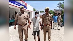 तरबूज खाने की 'सजा' में बछड़े पर चाकू से हमला, महाराजगंज में भड़के लोग
