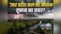 अगले 24 घंटे में यूपी में आंधी-बारिश! इन जिलों में तेज हवाओं के साथ गिरेंगे ओले