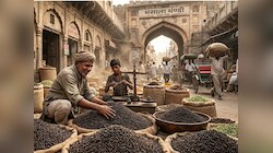 यूपी का यह जिला कहलाता है 'काली मिर्च का शहर',खेती नहीं,व्यापार ने दिलाई खास पहचान