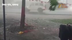 सीएम हेमंत सोरेन के गांव में ठनका गिरने से 26 पशुओं की मौत, बारिश और तूफान ने मचाई तबाही