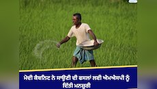 ਮੋਦੀ ਕੈਬਨਿਟ ਨੇ ਸਾਉਣੀ ਦੀ ਫਸਲਾਂ ਲਈ ਐਮਐਸਪੀ ਨੂੰ ਦਿੱਤੀ ਮਨਜ਼ੂਰੀ