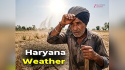 Haryana: हरियाणा में बढ़ेगा गर्मी का प्रकोप, डॉक्टरों ने जारी की हेल्थ एडवाइजरी