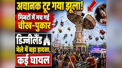 अचानक टूट गया झूला और सब कुछ मिनटों में हो गया, डिज्नीलैंड मेले में बड़ा हादसा