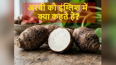 Do You Know: अरबी को अंग्रेजी में क्या कहते हैं? 90% लोगों ने दिया गलत जवाब!