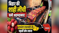 बिहार की शाही लीची चली अहमदाबाद! दरभंगा एयरपोर्ट से पहली खेप रवाना