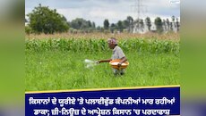 ਕਿਸਾਨਾਂ ਦੇ ਯੂਰੀਏ 'ਤੇ ਪਲਾਈਵੁੱਡ ਕੰਪਨੀਆਂ ਮਾਰ ਰਹੀਆਂ ਡਾਕਾ