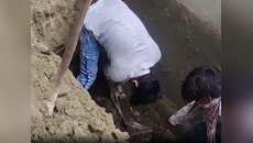 'वो गैर मर्द के साथ भाग गई...', महबूब ने 3 महीने की गर्भवती बीवी को काटकर छुपाया 