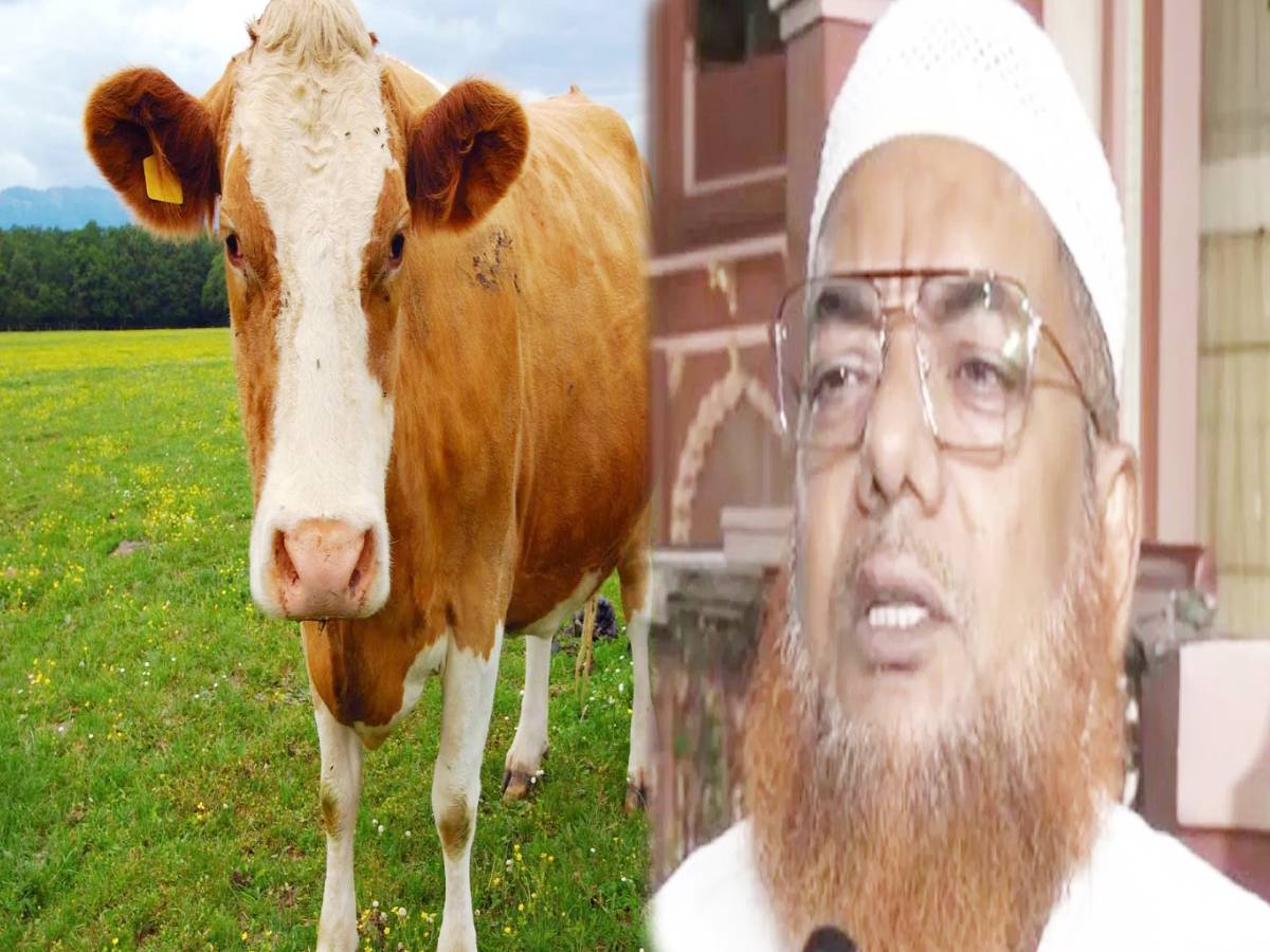 बकरीद से पहले बंगाल में गोहत्या पर बैन; मस्जिद के इमाम ने मुसलमानों से की बड़ी अपील बकरीद से पहले बंगाल में गोहत्या पर बैन; मस्जिद के इमाम ने मुसलमानों से की बड़ी अपील