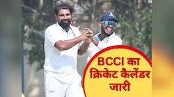 8 महीने नॉन-स्टॉप क्रिकेट, BCCI ने जारी किया 1788 मैचों का सबसे बड़ा क्रिकेट शेड्यूल