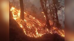 चमोली के जंगल में आग बुझाते समय जिंदा जला युवक, मुआवजे और सरकारी नौकरी की मांग