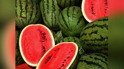 भारत का ये राज्य है तरबूज कैपिटल, यहीं होती है Watermelon की सबसे ज्यादा खेती