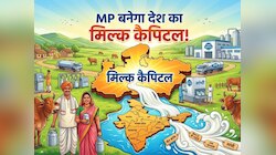 MP बनेगा देश का मिल्क कैपिटल! नंबर 1 बनने के लिए CM मोहन यादव का मेगा प्लान