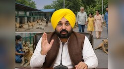 पंजाब में अब आवारा कुत्तों से बिना डरे सुकून से जी सकेंगे लोग, CM मान ने शुरू की पहल