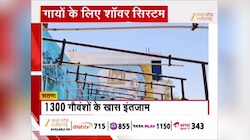 भीषण गर्मी में गायों के लिए लगा शॉवर सिस्टम, MP के सतना में खास इंतजाम