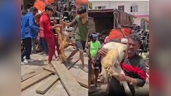 यूपी में बकरों से भरी गाड़ी पलटी, घायल मदद को चीखते रहे और लोगों ने लूट लिए बकरे