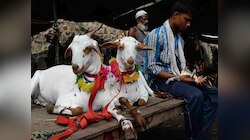क्या हर कमाने वाले पर जरूरी है कुर्बानी? जानिए साहिबे हैसियत और इसका का मतलब