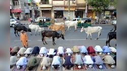 Bakrid 2026:सड़कों पर नमाज़ बनाम मस्जिदों में शिफ्ट में नमाज़, क्या है टकराव के बिंदु 
