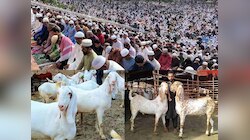 कुर्बानी कब शुरू होती है और कब खत्म? जानें सही समय और शरीयत के अहम नियम