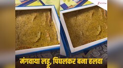 48 डिग्री गर्मी में मंगवाया लड्डू, घर आया तो बन गया हलवा! Video देख पिघला दिल