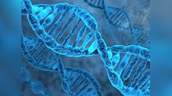 डॉक्टर भी हैरान! लाखों साल पुराने DNA की वजह से एक ही दवा का असर अलग-अलग, रिसर्च...