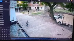 शाहगंज में पागल कुत्ते का खौफ! कई लोगों को काटा; मासूम को दौड़ा-दौड़ा कर नोंच डाला; Video देखिए