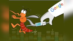 मच्छरों को खत्म करने के लिए Google खुद छोड़ेगा 6 करोड़ से ज्यादा मच्छर, जानिए स्कीम