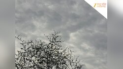 छत्तीसगढ़ में होगी आंधी-बारिश, रायपुर से बिलासपुर से तक अलर्ट, तेजी से बदलेगा मौसम