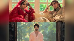 फ्रेंडशिप, रोमांस और फिर CHAOS! शाहिद, कृति और रश्मिका की Cocktail 2 का ट्रेलर रिलीज