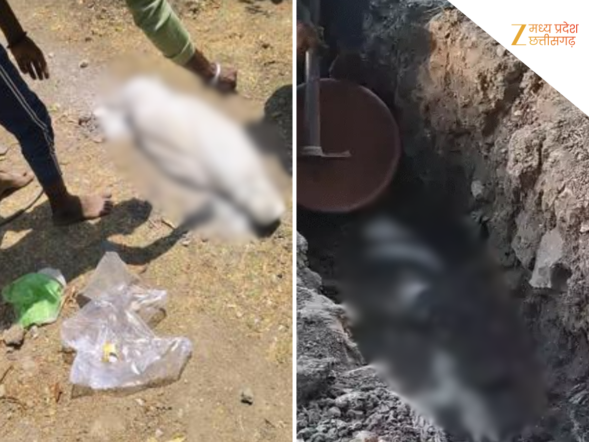 दफनाने के 4 दिन बाद कब्र से निकाला गया मासूम का शव, डॉक्टर पर लापरवाही के आरोप, अब होगी जांच दफनाने के 4 दिन बाद कब्र से निकाला गया मासूम का शव, डॉक्टर पर लापरवाही के आरोप, अब होगी जांच