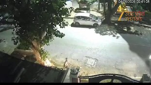 सपा नेता रत्नेश यादव की भीषण सड़क हादसे में मौत, बाइक सवार को बचाने के चक्कर में बेकाबू कार पेड़ से टकराई