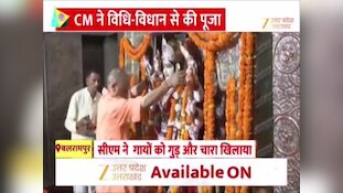 पाटेश्वरी देवी मंदिर में दर्शन को पहुंचे सीएम योगी, प्रदेश की समृद्धि और जनकल्याण की कामना की