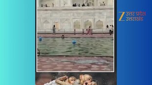 ताजमहल का वजू टैंक बना बंदरों का स्वीमिंग पूल, भीषण गर्मी में जमकर लगाए गोते, वीडियो वायरल