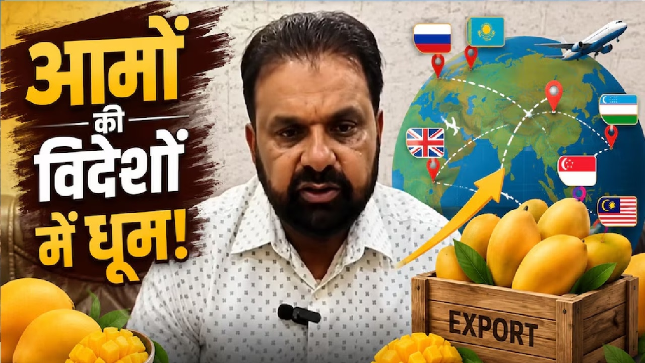 विदेशों में चला अमरोहा के आम का जादू, अब रूस-लंदन और सिंगापुर वाले भी चखेंगे स्वाद; टूट पड़े ऑर्डर