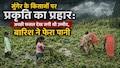 मेहनत पर फिरा पानी! मुंगेर में बेमौसम बारिश से खेतों में ही सड़ने लगी मूंग की उम्मीदें