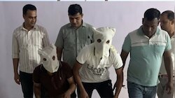 लव ट्रायंगल बना मौत की वजह, हांसी में जोकी शोरूम मैनेजर की हत्या, दो आरोपी गिरफ्तार