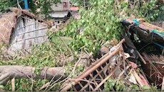 सीतामढ़ी में आंधी-तूफान का तांडव, पेड़ गिरने से एक ही परिवार के 5 लोगों की मौत