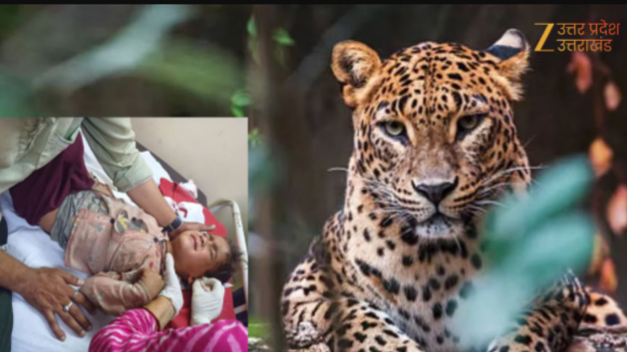 बचाओ-बचाओ 'शैतान' आया! घर के बाहर सो रही लड़की पर तेंदुए का हमला, मोहल्ले में पसरा मातम