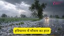 Haryana Weather: हरियाणा के कई जिलों में बारिश-ओलों का अटैक शुरू, अगले 7 दिन कैसा रहेगा मौसम का हाल; जानें IMD का अपडेट
