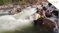 प्रयागराज से दोस्तों के साथ घूमने आया था युवक, रील बनाने के चक्कर में गई जान...