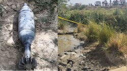 कानपुर देहात में मोर्टार मिलने से मचा हड़कंप, पुलिस प्रशासन के फूले हाथ-पांव