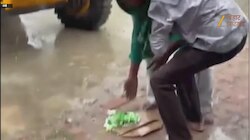 राजद कार्यकर्ता ने अनोखे अंदाज में मनाया राजद सुप्रीमो लालू प्रसाद यादव का 79वां जन्मदिन, आप भी देखिए ये वीडियो