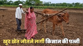 बैल मरा तो खुद खेत जोतने लगी किसान की पत्नी, वीडियो हुआ वायरल तो सरकार ने...