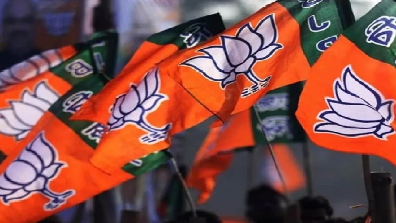 यूपी MLC चुनाव में हारी हुई 6 सीटों के लिए 'मेगा प्लान', 'जिताऊ' उम्मीदवारों पर फोकस, BJP में शुरू हुई टिकट की सर्जरी