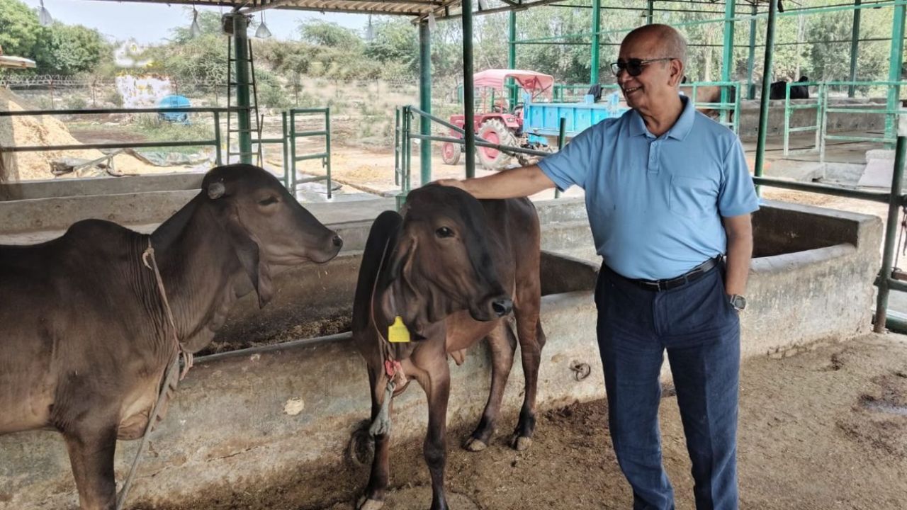 सीएम याेगी की प्रेरणा से खुली रोजगार और समृद्धि की राह, आलीशान नौकरी छोड़ इंजीनियर ने गो-सेवा को बनाया बिजनेस मॉडल